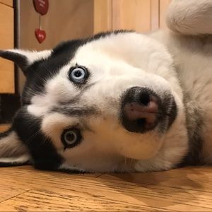 Meet your Posher, Jodi